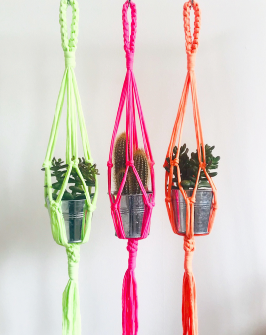 Small Plant Hanger